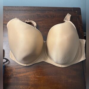 Fantasie Bra 38H